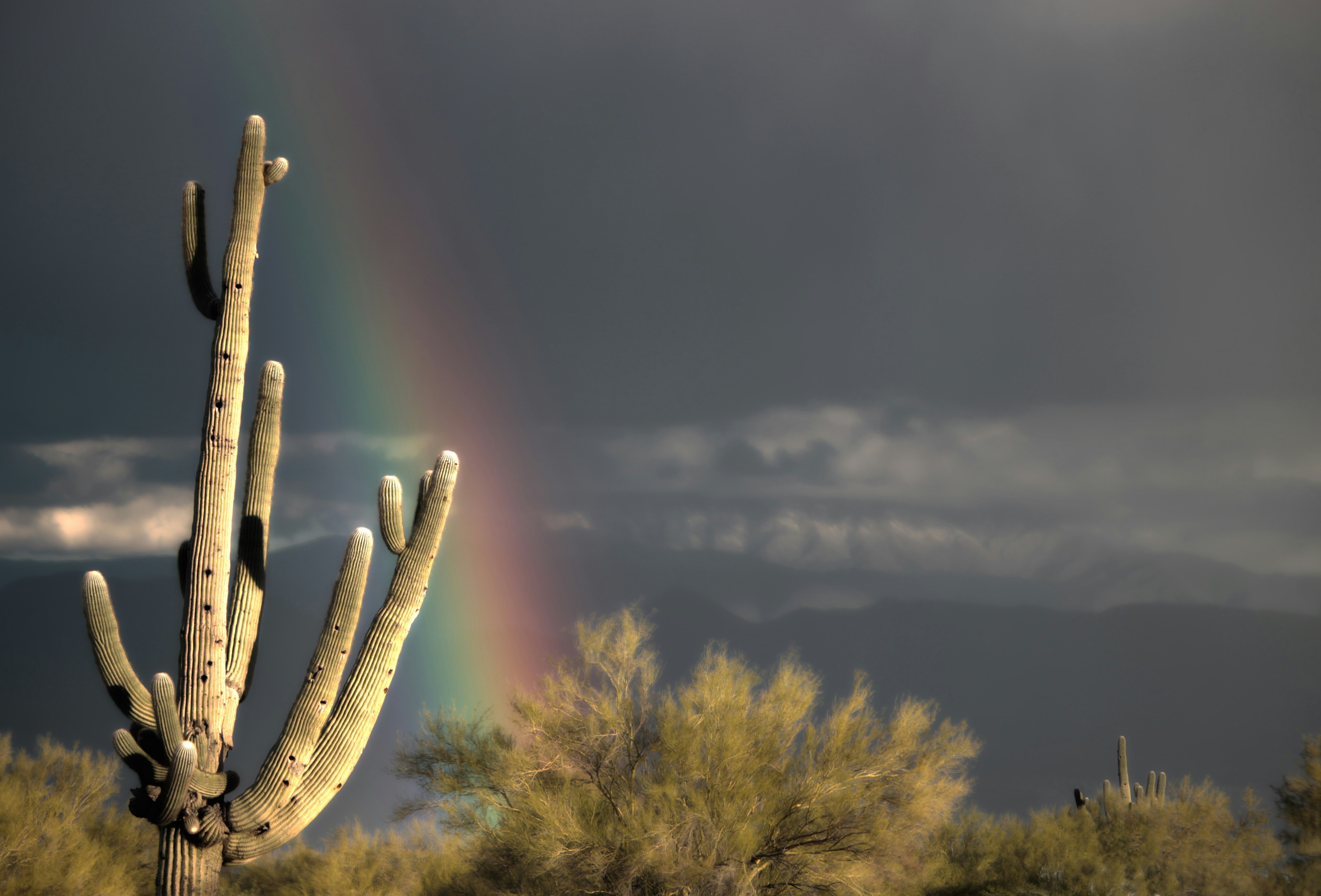 How Arizona’s Climate Impacts Property Management in Buckeye and Goodyear